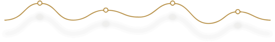 A gold wavy line with four evenly spaced peaks, each marked by a small circle, on a white background with a faint shadow below—symbolizing seamless unlimited WordPress support and edits within your maintenance service plan.