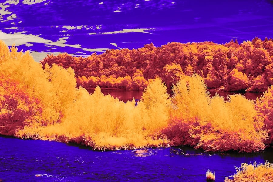 Photo Image: Image Compression