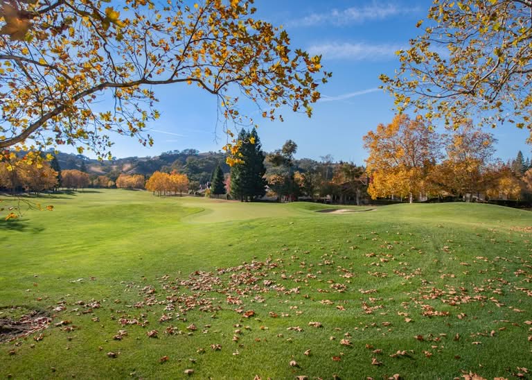 Autumn leaves scattered on a green golf course with trees showing fall colors under a clear blue sky.